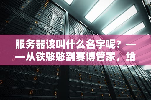 服务器该叫什么名字呢？——从铁憨憨到赛博管家，给服务器取名的艺术与科学