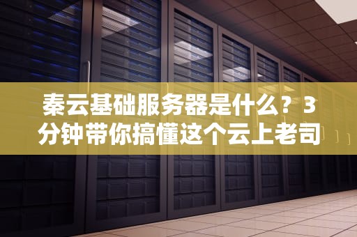秦云基础服务器是什么？3分钟带你搞懂这个云上老司机！
