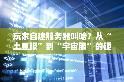 玩家自建服务器叫啥？从“土豆服”到“宇宙服”的硬核科普指南！