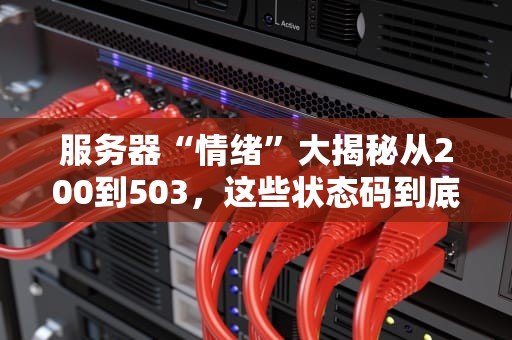 服务器“情绪”大揭秘从200到503，这些状态码到底在说啥？