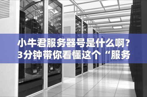 小牛君服务器号是什么啊？3分钟带你看懂这个“服务器界的扛把子”！