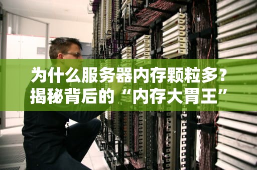 为什么服务器内存颗粒多？揭秘背后的“内存大胃王”秘密！