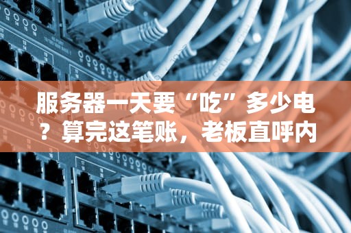 服务器一天要“吃”多少电？算完这笔账，老板直呼内行！