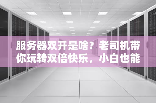 服务器双开是啥？老司机带你玩转双倍快乐，小白也能秒懂！