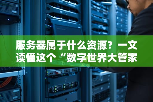 服务器属于什么资源？一文读懂这个“数字世界大管家”的隐藏身份！