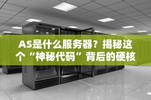 AS是什么服务器？揭秘这个“神秘代码”背后的硬核技术！