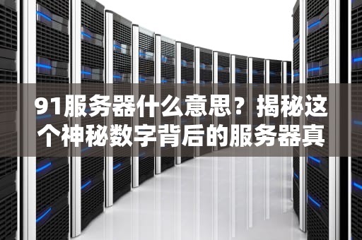 91服务器什么意思？揭秘这个神秘数字背后的服务器真相！
