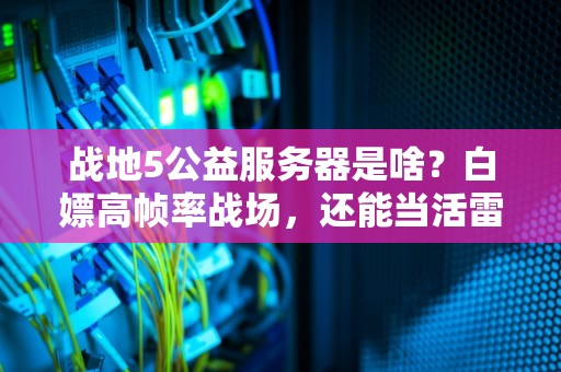 战地5公益服务器是啥？白嫖高帧率战场，还能当活雷锋？