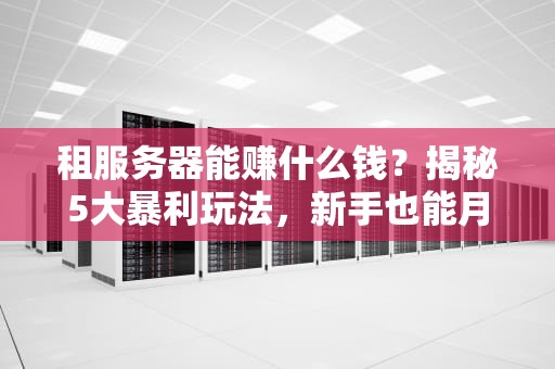 租服务器能赚什么钱？揭秘5大暴利玩法，新手也能月入过万！