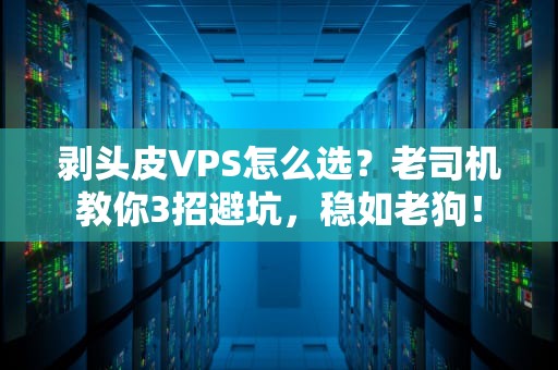 沙田VPS为什么贵？资深工程师用海鲜大餐给你讲透真相！