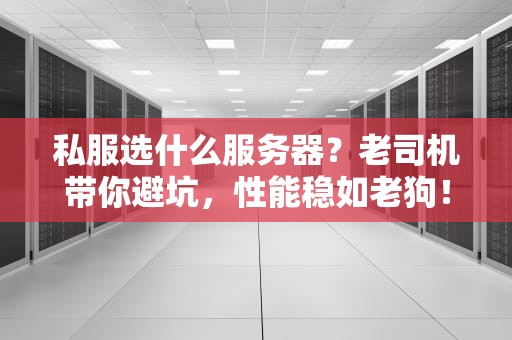 私服选什么服务器？老司机带你避坑，性能稳如老狗！