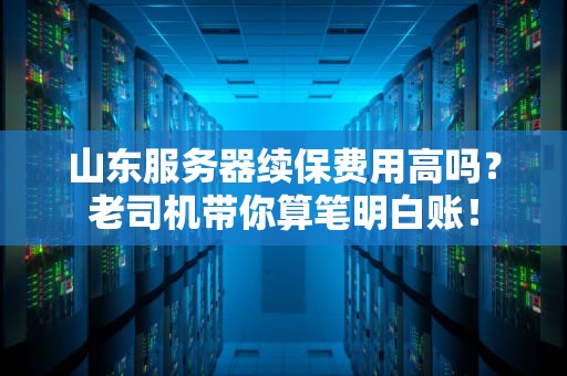 山东服务器续保费用高吗？老司机带你算笔明白账！