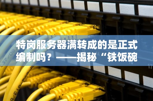 特岗服务器满转成的是正式编制吗？——揭秘“铁饭碗”背后的技术逻辑与职场真相