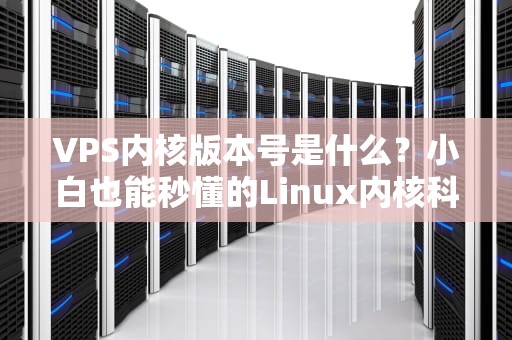 VPS内核版本号是什么？小白也能秒懂的Linux内核科普指南！