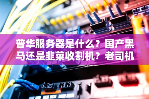 普华服务器是什么？国产黑马还是韭菜收割机？老司机带你拆机测评！