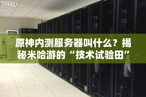 原神内测服务器叫什么？揭秘米哈游的“技术试验田”与玩家趣事