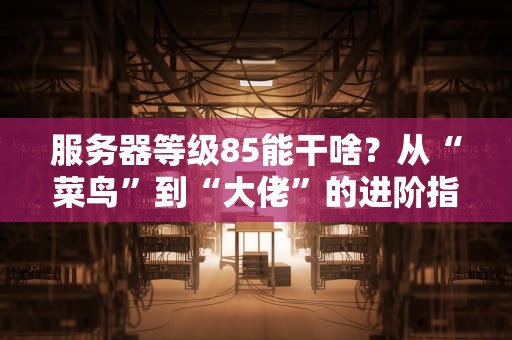 服务器等级85能干啥？从“菜鸟”到“大佬”的进阶指南！