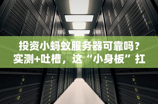 投资小蚂蚁服务器可靠吗？实测+吐槽，这“小身板”扛得住吗？