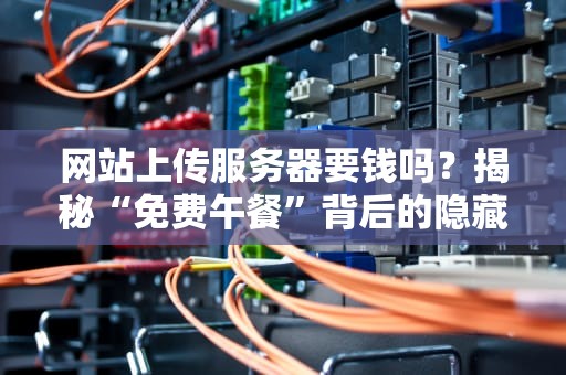 网站上传服务器要钱吗？揭秘“免费午餐”背后的隐藏账单！