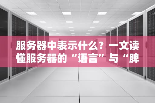 服务器中表示什么？一文读懂服务器的“语言”与“脾气”