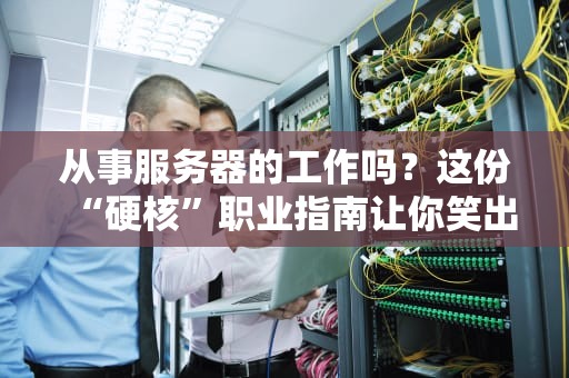 从事服务器的工作吗？这份“硬核”职业指南让你笑出八块腹肌！
