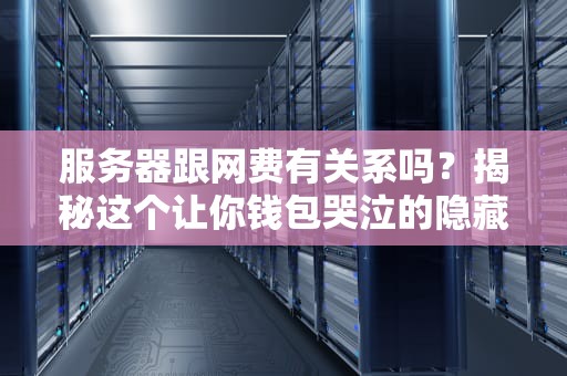 服务器跟网费有关系吗？揭秘这个让你钱包哭泣的隐藏关联！