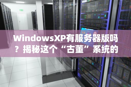 WindowsXP有服务器版吗？揭秘这个“古董”系统的隐藏身份！