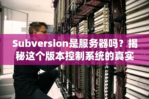 Subversion是服务器吗？揭秘这个版本控制系统的真实身份！