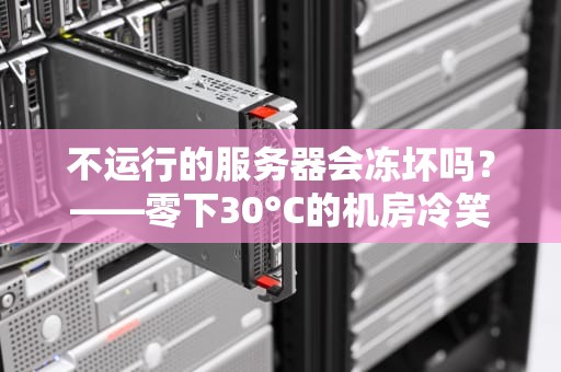 不运行的服务器会冻坏吗？——零下30°C的机房冷笑话与硬核科普