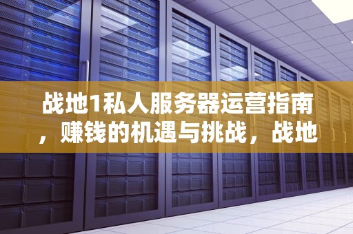 战地1私人服务器运营指南，赚钱的机遇与挑战，战地1开服务器赚钱吗