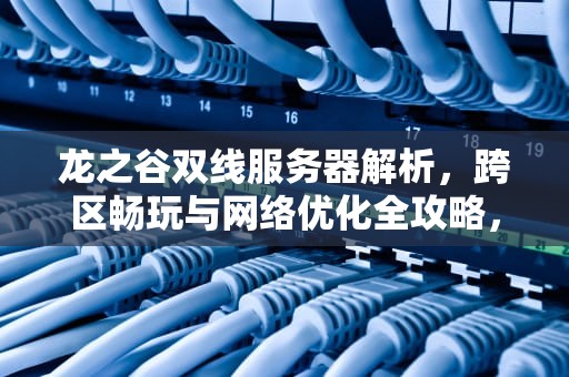 龙之谷双线服务器解析，跨区畅玩与网络优化全攻略，龙之谷有双线服务器吗知乎