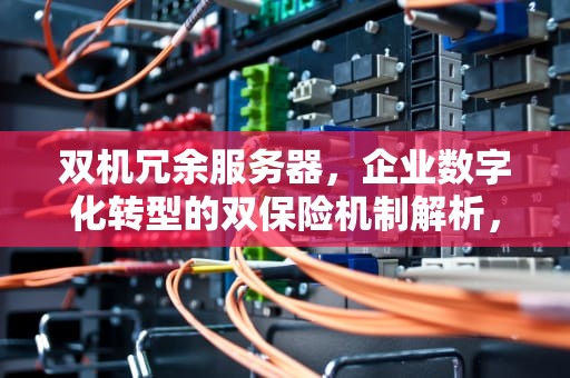 双机冗余服务器，企业数字化转型的双保险机制解析，双机冗余服务器什么意思啊