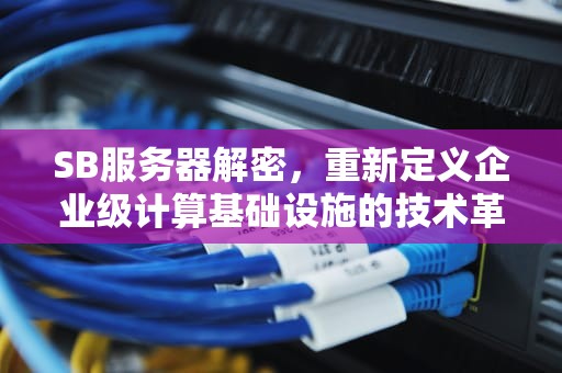 SB服务器解密，重新定义企业级计算基础设施的技术革命，sbc服务器