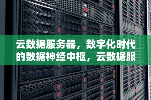 云数据服务器，数字化时代的数据神经中枢，云数据服务器是什么意思