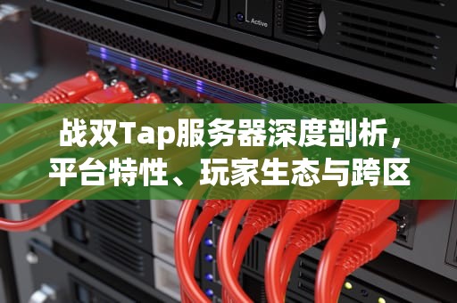 战双Tap服务器深度剖析，平台特性、玩家生态与跨区互联的真相，tap 战双