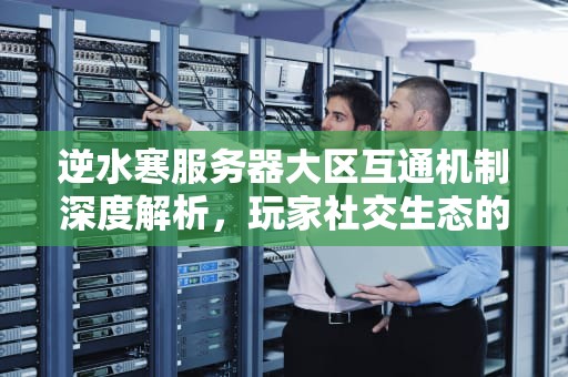 逆水寒服务器大区互通机制深度解析，玩家社交生态的破壁与边界，逆水寒服务器选择