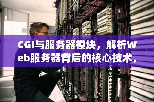CGI与服务器模块，解析Web服务器背后的核心技术，cgi 服务器