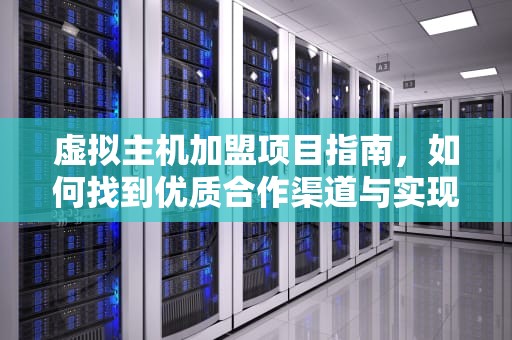 虚拟主机加盟项目指南，如何找到优质合作渠道与实现盈利，哪里有虚拟主机加盟项目的