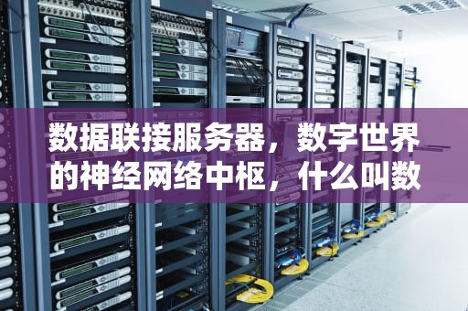 数据联接服务器，数字世界的神经网络中枢，什么叫数据联接服务器呢