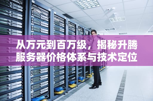 从万元到百万级，揭秘升腾服务器价格体系与技术定位，升腾服务器一般多少钱一台