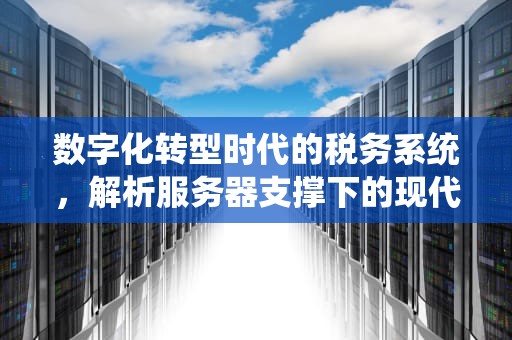数字化转型时代的税务系统，解析服务器支撑下的现代化征管体系，税务系统需要服务器吗知乎