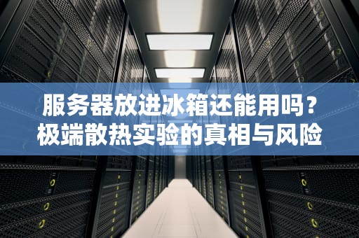服务器放进冰箱还能用吗？极端散热实验的真相与风险，服务器放冰箱里面还能用吗知乎