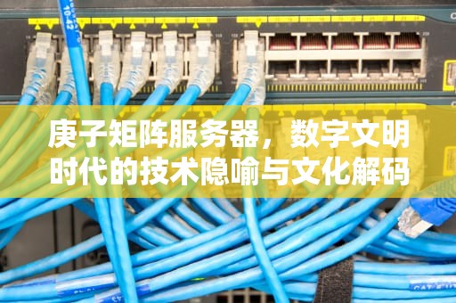 庚子矩阵服务器，数字文明时代的技术隐喻与文化解码，什么是庚子码