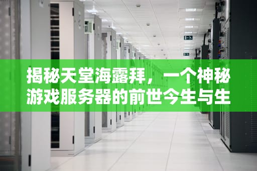 揭秘天堂海露拜，一个神秘游戏服务器的前世今生与生态探秘，天堂海岸解析