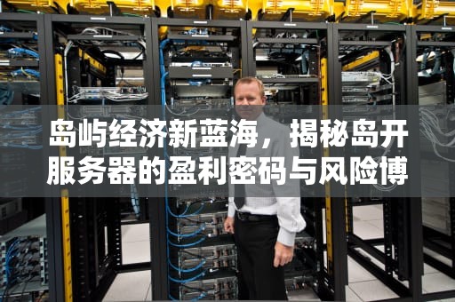岛屿经济新蓝海，揭秘岛开服务器的盈利密码与风险博弈，服务器空岛