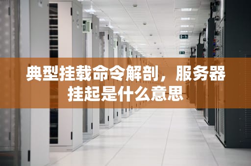 典型挂载命令解剖，服务器挂起是什么意思
