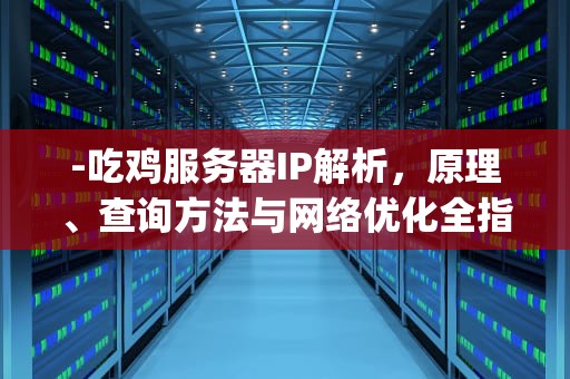 -吃鸡服务器IP解析，原理、查询方法与网络优化全指南，吃鸡服务器ip是什么意思