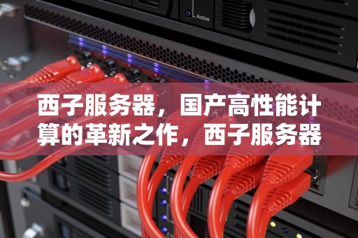 西子服务器，国产高性能计算的革新之作，西子服务器怎么用