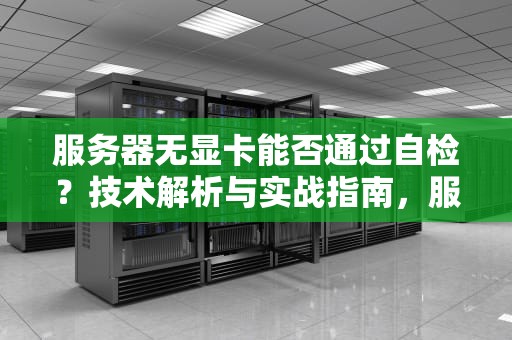 服务器无显卡能否通过自检？技术解析与实战指南，服务器没显卡能过自检吗知乎