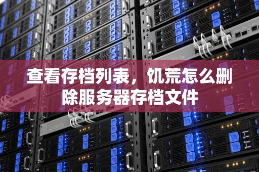 查看存档列表，饥荒怎么删除服务器存档文件